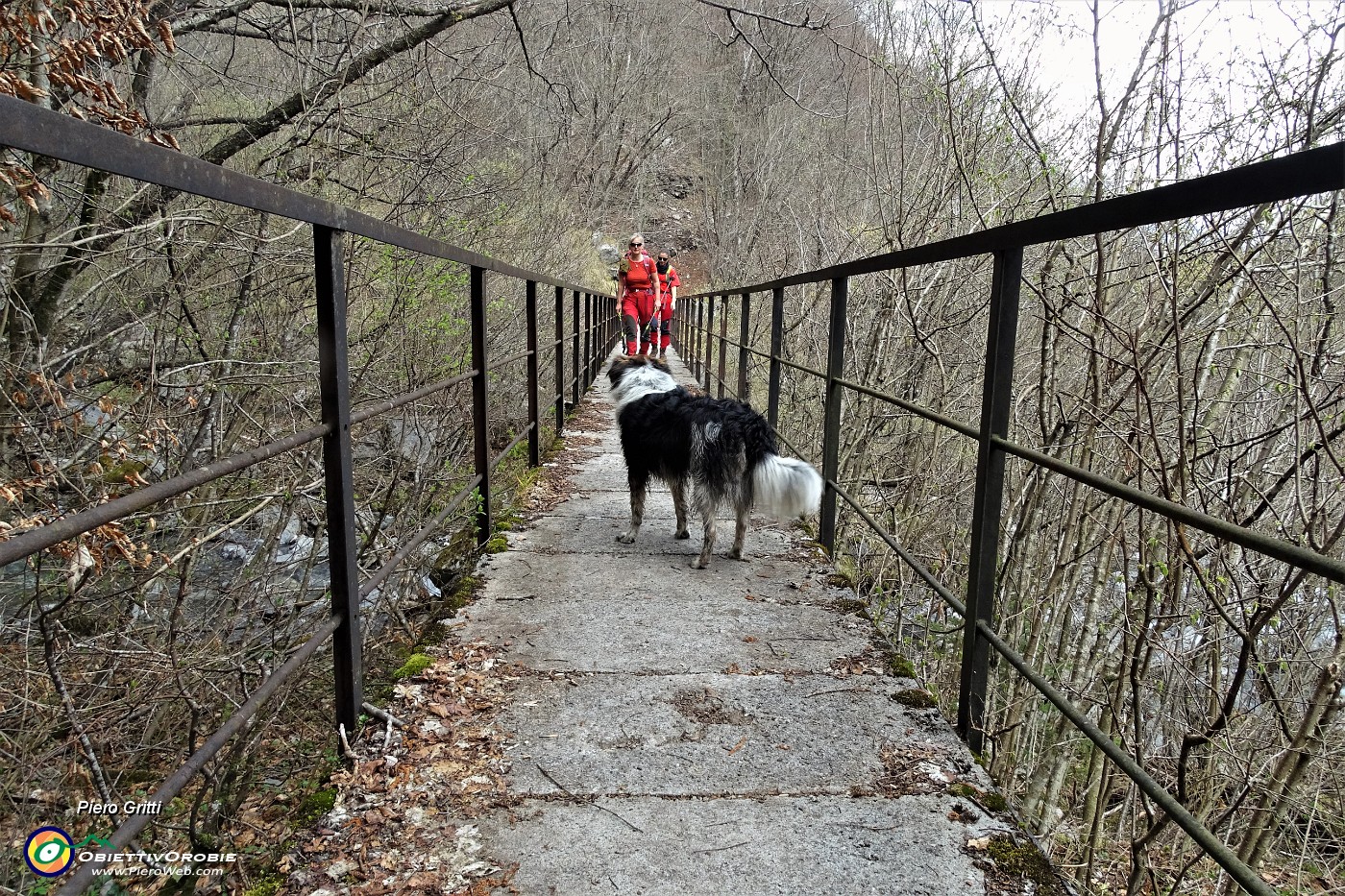 45 Ponticello in ferro e cemento della Societa Orobia sul torrente Bordesiglio.JPG